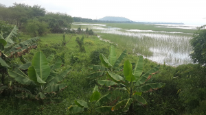 lake-hawassa-1212